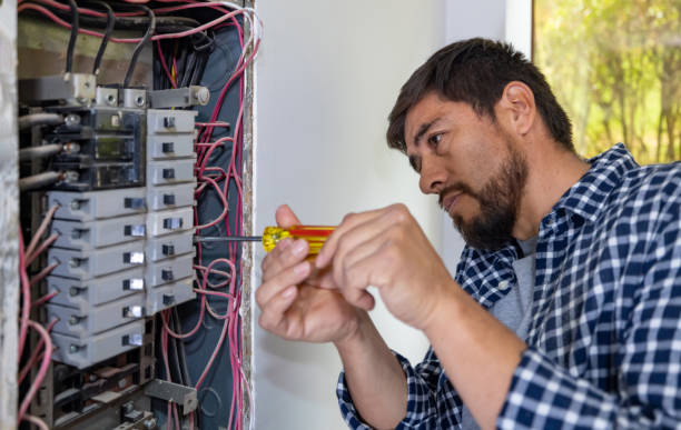 Best Local Electrician Companies  in Holstein, IA